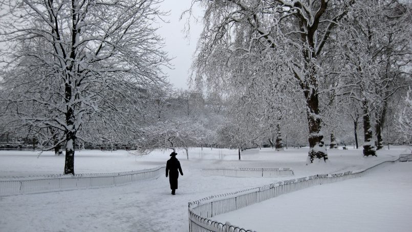 Best Winter Walks In London